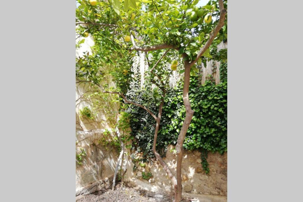 Villa Cas Potecari Porreres Exterior foto